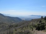 IMG_1338.JPG