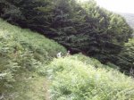 Foto0241.jpg