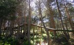 DSCN1555.jpg