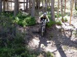 DSCN1540.jpg