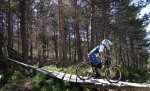 DSCN1549.jpg
