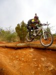 DSCN1184.jpg