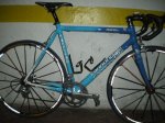 IMGP2010.jpg