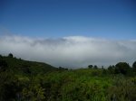 CIMG0318.JPG
