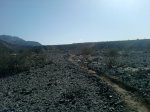P200611_12.24.jpg