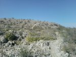 P200611_13.07_[01].jpg
