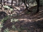 18062011057.jpg
