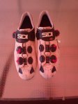 IMG_20110622_163021.jpg