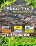 cartel vegallera4.JPG