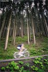 klein-trees.jpg