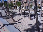DSC00862.jpg