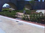 DSC00866.jpg