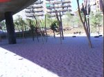 DSC00865.jpg