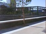 DSC00863.jpg