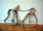 bici mojada.jpg