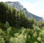 ,luz sant sauveur, junio 2011 046.jpg
