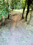 IMG_0766.JPG