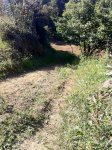 IMG_0756.JPG