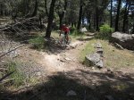 IMG_1424.JPG
