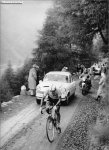 rosa-anquetil.jpg