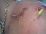 imagen_040__176.jpg