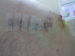 imagen_045__180.jpg