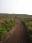 sendero02.jpg