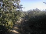 foro30122006 016.jpg
