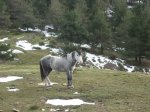 IMG_1018_redimensionar.jpg
