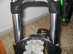 IMG_1582modificada.gif