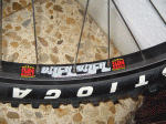 IMG_1597modificada.gif