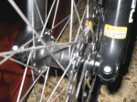IMG_1605modificada.gif