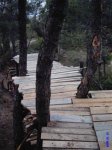 pasarelas 005 (Small).jpg