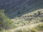 IMG_1014.jpg