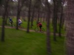 000_0252.jpg