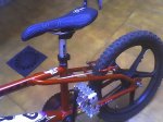 31-12-06_1602.jpg