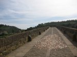 IMG_0450.jpg