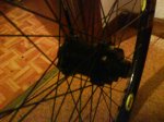 DSC00170.JPG