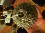 DSC00210.JPG