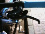PICT0051.gif