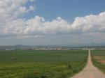 IMG_0697.jpg