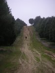 PICT2398.jpg
