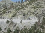 IMG_1067_redimensionar.jpg