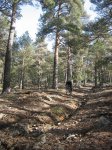 IMG_1075_redimensionar.jpg