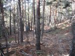 IMG_1080_redimensionar.jpg