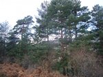 P0000002_redimensionar.JPG