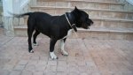 DSC01231.JPG