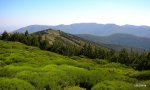 DSCN3067-1.JPG