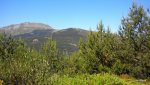 DSCN3068.JPG