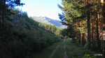 DSCN3066.JPG